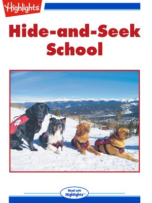 cover image of Hide-and-Seek School